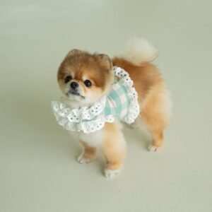 체크레이스하네스(그린)