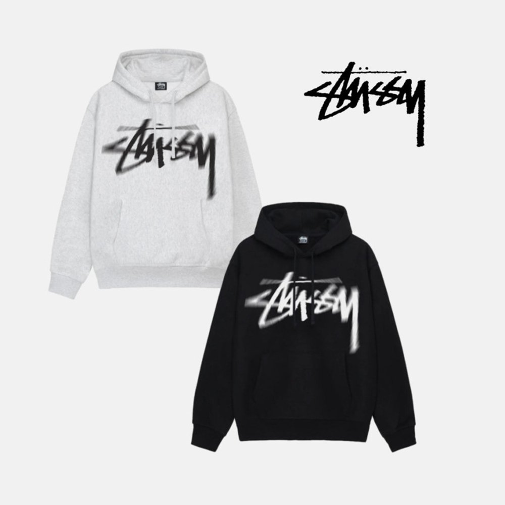 스투시 베이직 후드티 디지 스탁   후디 STUSSY DIZZY STOCK Hood Tee